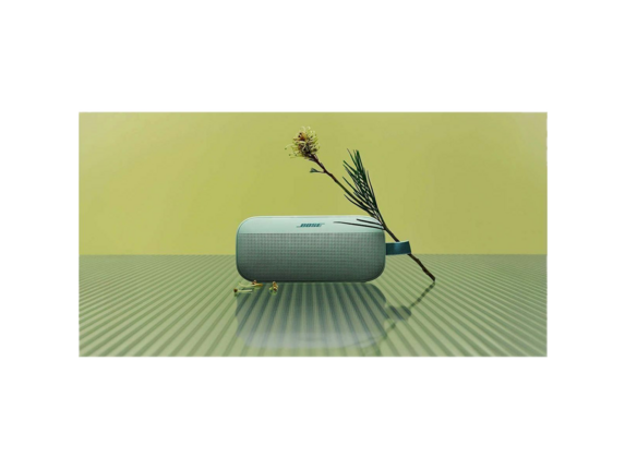 Bose SoundLink Flex Portable Speaker (2nd Gen) - Dewdrop Mint - Speakers