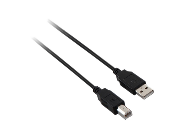 V7 USB 2.0 Cable - 6ft