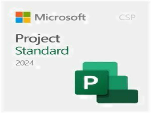 Microsoft Project 2024 Standard